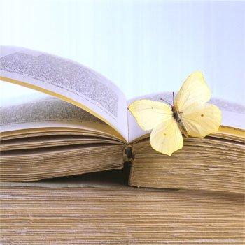 Buch mit Schmetterling