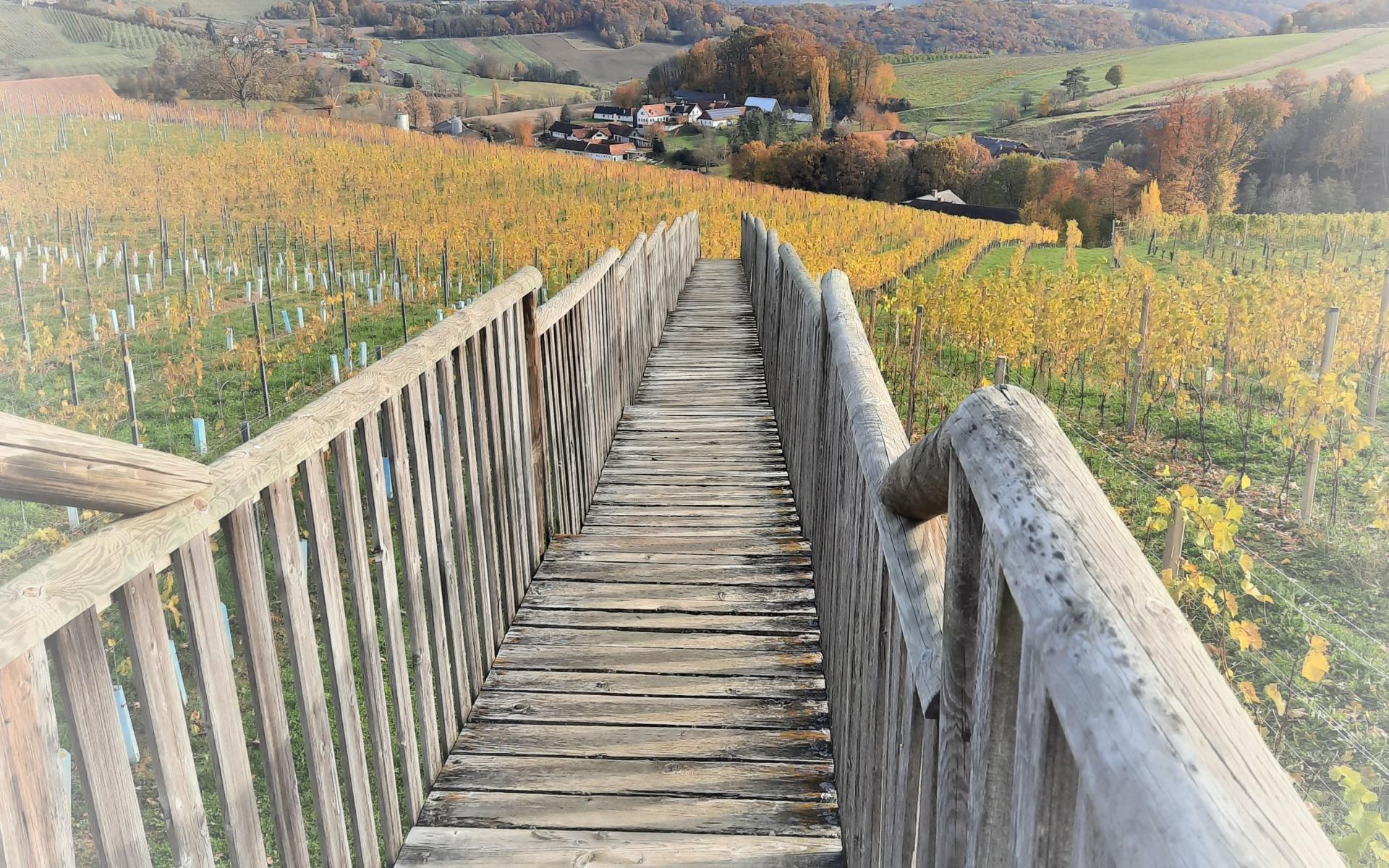 Landschaft mit Steg