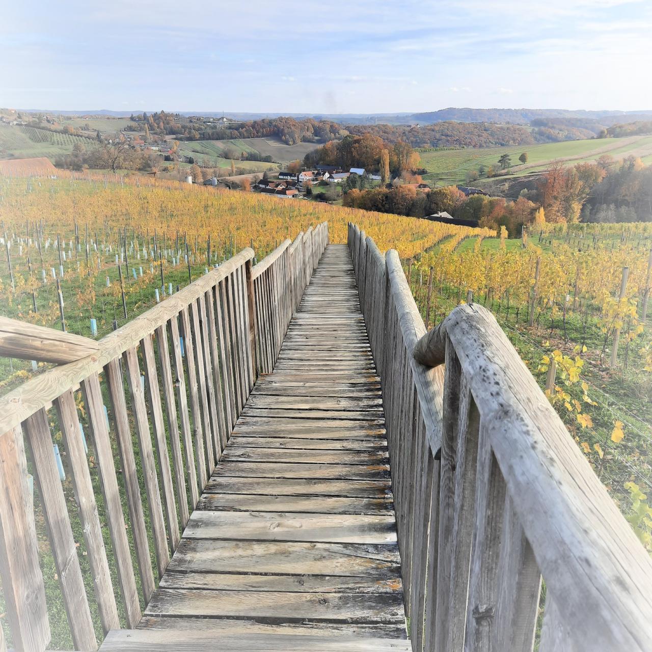 Landschaft mit Steg